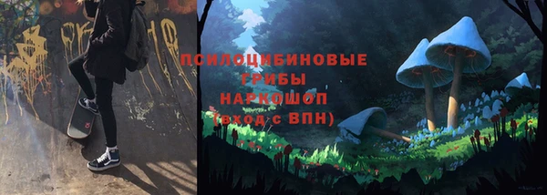 тгк Иннополис