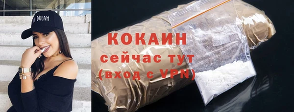 стафф Зеленокумск