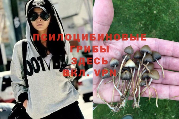 герыч Инта