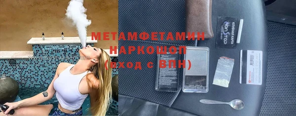 сатива Ростов