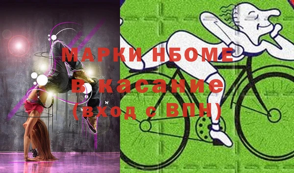 стафф Зеленокумск