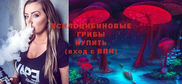 стафф Зеленокумск