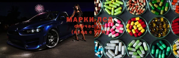 стафф Зеленокумск