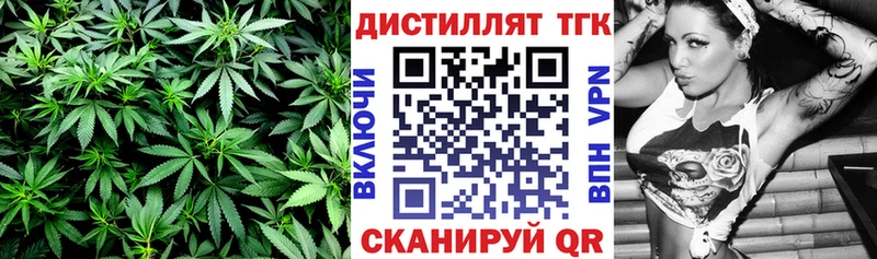 Купить где  Ершов  ТГК гашишное масло 